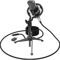 Микрофон Ritmix RDM-160 Black Микрофон Ritmix RDM-160 Black