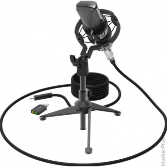 Микрофон Ritmix RDM-160 Black Микрофон Ritmix RDM-160 Black