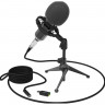 Микрофон Ritmix RDM-160 Black Микрофон Ritmix RDM-160 Black