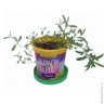 Набор для выращивания растений ВЫРАСТИ ДЕРЕВО! "Лаванда" (банка, грунт, семена), zk-030