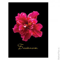 Блокнот МАЛЫЙ ФОРМАТ (110х147 мм) А6, 80 л., твердый переплет, ламинированная обложка, клетка, STAFF, "Красный цветок на черном", 127212