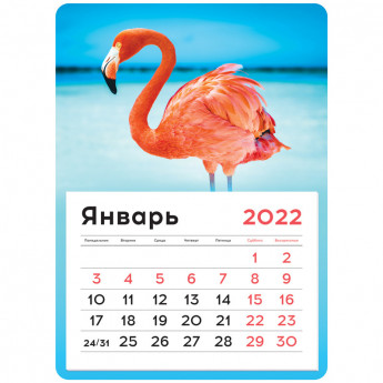 Календарь отрывной на магните 130*180мм склейка OfficeSpace "Mono - Flamingos", 2022г