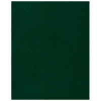 Тетрадь 96л., А5 клетка BG, бумвинил, зеленый, суперэконом