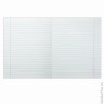 Тетрадь 12л. BRAUBERG линия, обложка мелованный картон, внутренний блок офсет белый, "Пастельная", 104501