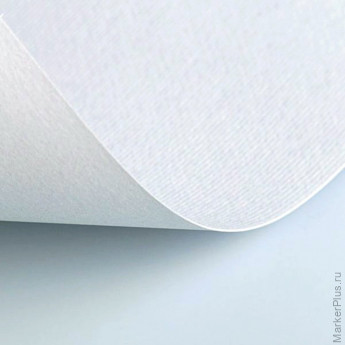 Бумага (картон) для творчества (1 л.), Fabriano Elle Erre, А2+, 500х700 мм, 220 г/м2, белая, 42450700