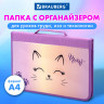 Папка на молнии BRAUBERG А4 с ручкой, с органайзером, 1 отделение, 'Cheerful', 271448