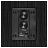 Колонки Sven SPS-619, 2*10W, деревянный корпус, черный
