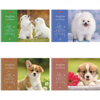 Альбом для рисования А4 40 л., спираль, обложка картон, HATBER, 205х290 мм, "Щенки" (4 вида в спайке), 40А4Всп Альбом для рисования А4 40 л., спираль, обложка картон, HATBER, 205х290 мм, "Щенки" (4 вида в спайке), 40А4Всп