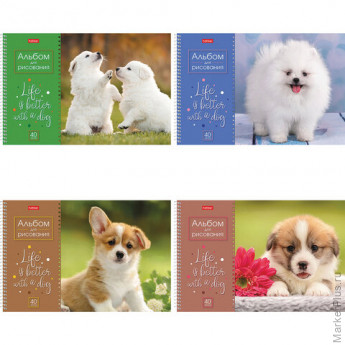 Альбом для рисования А4 40 л., спираль, обложка картон, HATBER, 205х290 мм, "Щенки" (4 вида в спайке), 40А4Всп