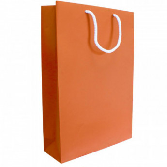 Пакет подарочный бумажный Stardream оранжевый (240х350х80мм)