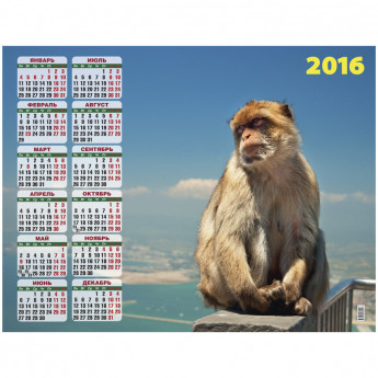 Календарь настенный листовой А2 "Символ года. Планета обезьян", 2016 г.