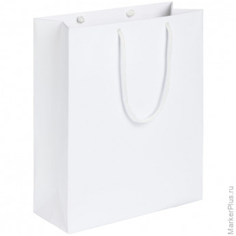 Пакет подарочный Ample M, 23х28х9см, белый, 7440.60