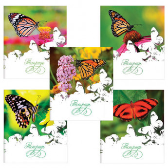 Тетрадь 48 листов, клетка, обложка мелованный картон, блок офсет №2, "Бабочки", ПИФАГОР, 403013