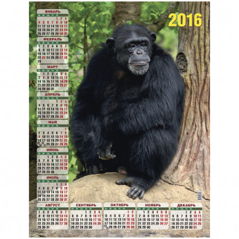 Календарь настенный листовой А2 "Символ года. Хозяин джунглей", 2016 г.