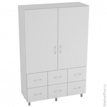 Шкаф лабораторный Д_для хранения приборов серый