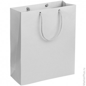 Пакет подарочный Wide, 23х28х9,2см, серый, 74440.10