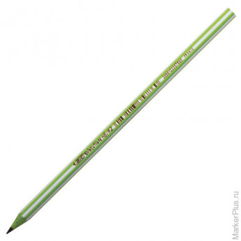 Карандаш чернографитный BIC, 1 шт., 'Evolution', HB, пластиковый, корпус двухцветный, ассорти, без ластика, 918487