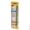 Карандаш чернографитный BIC, 1 шт., 'Evolution', HB, пластиковый, корпус двухцветный, ассорти, без ластика, 918487
