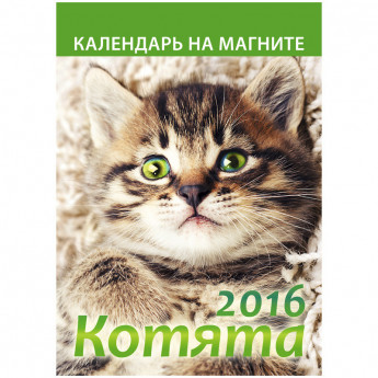 Отрывной календарь на магните "Котята" на 2016 г.