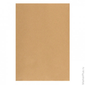 Пакеты в упаковке Крафт С4стрип Multipack 229х324 100г 50шт/уп/5702, комплект 50 шт