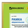 Рамка BRAUBERG "HIT5", 30х40 см, пластик, золото (для дипломовов и сертификатов), 391081