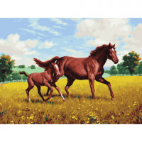 Картина по номерам 40х50 см, ОСТРОВ СОКРОВИЩ 'Лошади на лугу', на подрамнике, акриловые краски, 3 кисти, 662464