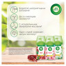 Сменный баллон 250мл AIRWICK Freshmatic "Цветущая сакура", ш/к 96207, 3316668 Сменный баллон 250мл AIRWICK Freshmatic "Цветущая сакура", ш/к 96207, 3316668