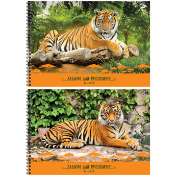 Альбом для рисования 32л. А4 на гребне "Природа. Тигры", фактурное тиснение