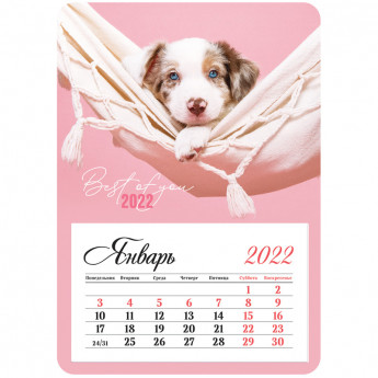 Календарь отрывной на магните 95*135мм склейка OfficeSpace "Mono - Милый щенок", 2022г.