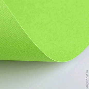 Бумага (картон) для творчества (1 лист) Fabriano Elle Erre А2+ 500х700 мм, 220 г/м2, светло-зеленый, 42450710