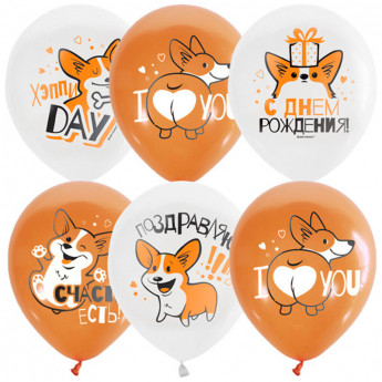Воздушные шары, 25шт., М12/30см, ПатиБум 'White&Orange. Корги. С днем рождения', декоратор, шелк, комплект 25 шт