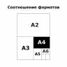 Альбом для рисования 16л., А4, на скрепке BG 'Монстр-пати', ассорти