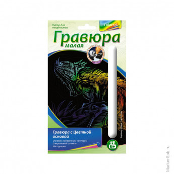 Гравюра малая с цветной основой "Ящерица Игуана"