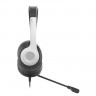 Гарнитура A4Tech Fstyler (FH100U (PANDA)) белый/черный 2м накладные USB