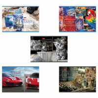 Альбом для рисования А4 48 л., скоба, обложка картон, HATBER, 205х290 мм, Ассорти, 48А4В, ассорти