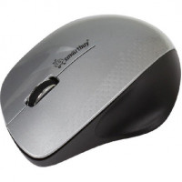 Мышь компьютерная Smartbuy 309AG серебро/металлик (SBM-309AG-SK)