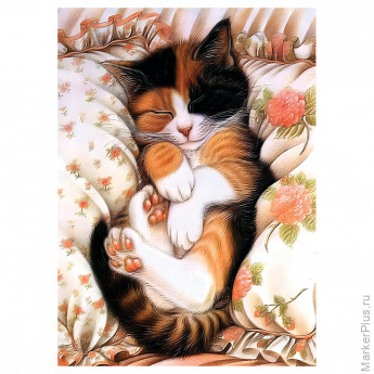 Пазл 1000 эл. ТРИ СОВЫ "Спящий котик" Пазл 1000 эл. ТРИ СОВЫ "Спящий котик"