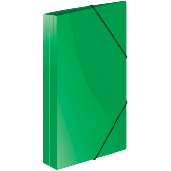Папка на резинке Berlingo 'Standard' А4, 500мкм, зеленая