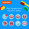 Зубные щетки, набор 4 штуки, для взрослых и детей, СРЕДНЕ-МЯГКИЕ (MEDIUM SOFT), DASWERK, 608213, комплект 4 шт