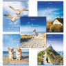Тетрадь А5, 80 л., BRAUBERG, скоба, клетка, обложка картон, "By the Sea", 404410 Тетрадь А5, 80 л., BRAUBERG, скоба, клетка, обложка картон, "By the Sea", 404410