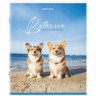 Тетрадь А5, 80 л., BRAUBERG, скоба, клетка, обложка картон, "By the Sea", 404410 Тетрадь А5, 80 л., BRAUBERG, скоба, клетка, обложка картон, "By the Sea", 404410