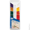 Краски акварельные ГАММА "Лицей", 12 цветов, медовые, без кисти, пластиковая коробка