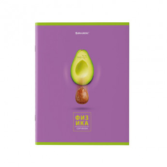 Тетрадь предметная 'AVOCADO' 48 л., глянцевый лак, ФИЗИКА, клетка, BRAUBERG, 404283
