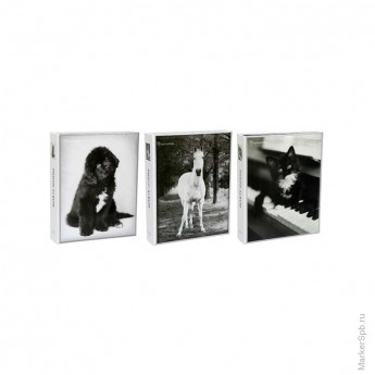 Фотоальбом 200 фото 10*15см, Veld-co 'Rachael Hale: Черно-белый животные'