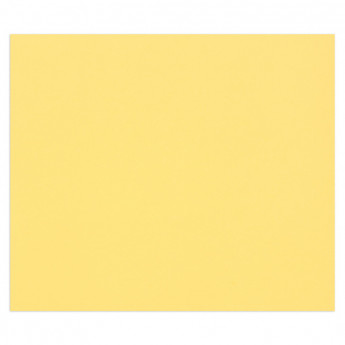 Цветная бумага 500*650мм., Clairefontaine "Tulipe", 25л., 160г/м2, лютик, лёгкое зерно