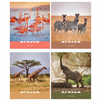 Тетрадь 96л., А5, клетка ArtSpace 'Животные. Nature of Africa', эконом, 5 шт/в уп