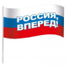 Флагвперед! 16х24 см с флагштоком