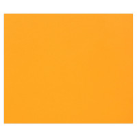 Цветная бумага 500*650мм., Clairefontaine "Tulipe", 25л., 160г/м2, оранжевый, лёгкое зерно