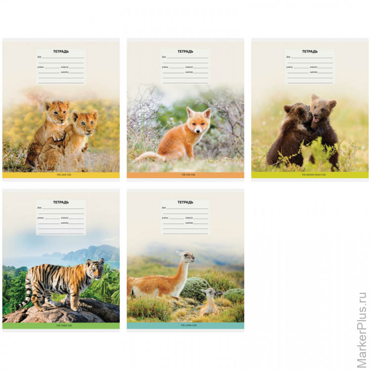 Тетрадки с животными. Обложка для тетради с животными. Тетрадь животных. Тетради с животными. Тетрадь 18 листов.