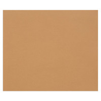 Цветная бумага 500*650мм., Clairefontaine "Tulipe", 25л., 160г/м2, светло-коричневый, лёгкое зерно